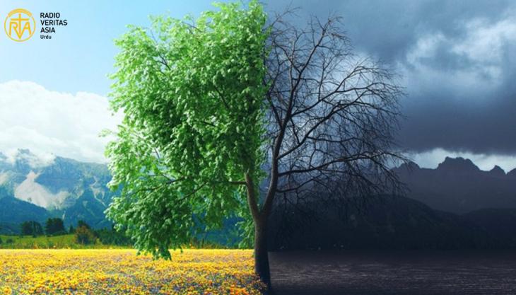 جنگ اور مسلح تصادم میں ماحولیات کے استحصال کی روک تھام کا عالمی دن