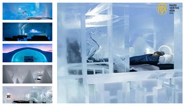  فن، فطرت اور انسانی تخلیق کا حسین امتزاج 