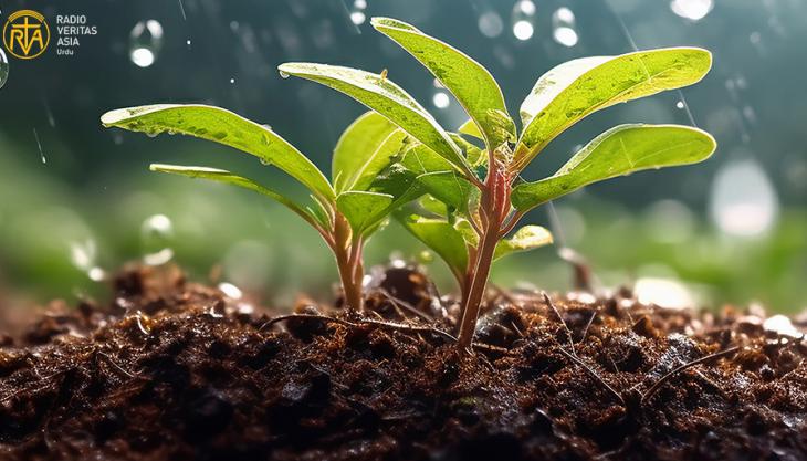 مٹی,زمین کی اصل بنیاد 