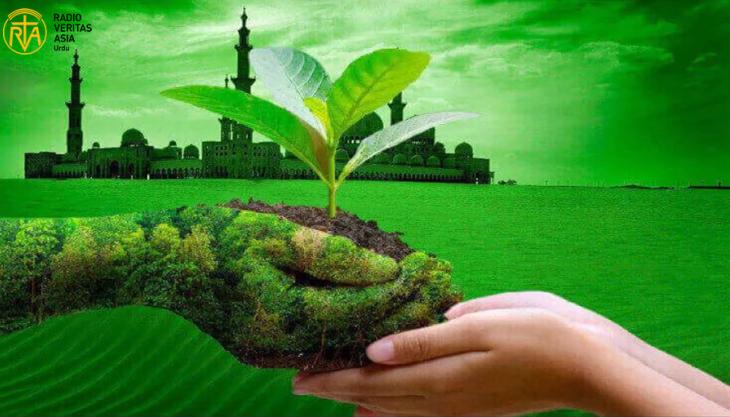 ماحولیات اور ہماری ذمہ داری