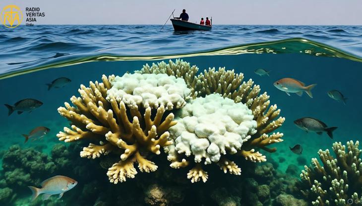 مرجانی چٹانیں خطرے میں 