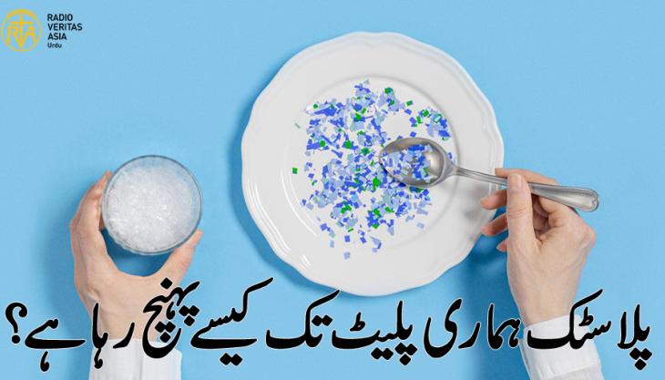  پلاسٹک ہماری پلیٹ تک کیسے پہنچ رہا ہے؟ 