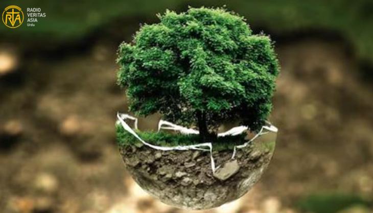  زندگی، ماحول اور پائیدار ترقی کے لیے جنگلات کی اہمیت