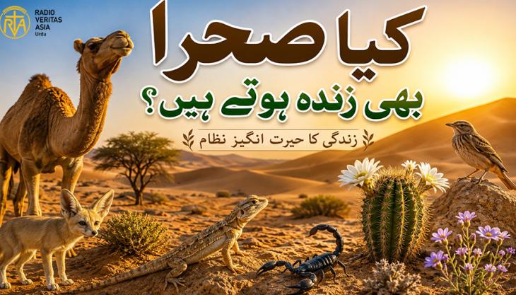  کیا صحرا بھی زندہ ہوتے ہیں؟
