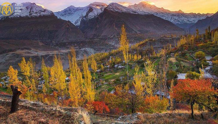 درخت خزاں میں اپنے پتے کیوں گراتے ہیں؟