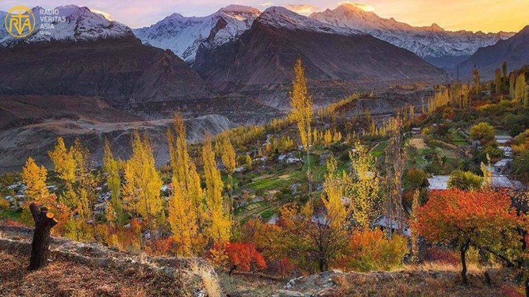 درخت خزاں میں اپنے پتے کیوں گراتے ہیں؟