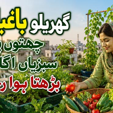  چھتوں پر سبزیاں اْگانے کا بڑھتا ہوا رجحان