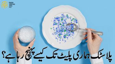  پلاسٹک ہماری پلیٹ تک کیسے پہنچ رہا ہے؟ 