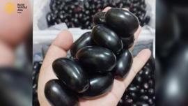 جامن اور اس کی گٹھلی