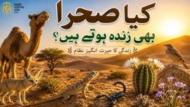  کیا صحرا بھی زندہ ہوتے ہیں؟