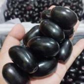 جامن اور اس کی گٹھلی