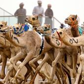  صحرا کی ایک قدیم اور دلچسپ روایت