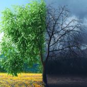 جنگ اور مسلح تصادم میں ماحولیات کے استحصال کی روک تھام کا عالمی دن