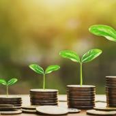 حقیقت، روایت اور خوبصورتی کا امتزاج