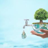 پانی زندگی ہے