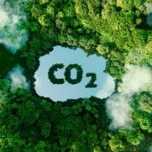  زندگی کی بنیاد یا خاموش خطرہ