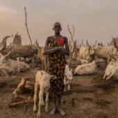 ثقافت، طرزِ زندگی اور جدوجہد کی کہانی