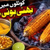  ذائقہ، ثقافت اور روایات کی خوشبو