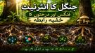  فنگس اور درختوں کا خفیہ رابطہ